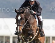 Alfonso Will Power TosTour2013- S5 2665 : Alfonso Antonio, Arezzo, Arezzo Equestrian Centre, Toscana Tour 2013, Will Rover, foto di Stefano Secchi ©